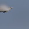Aviation